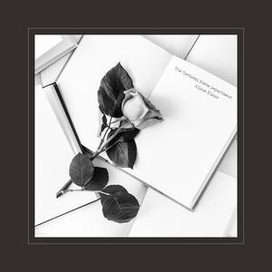 美国色情免费网站
